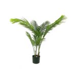 PALMERA 1.60M